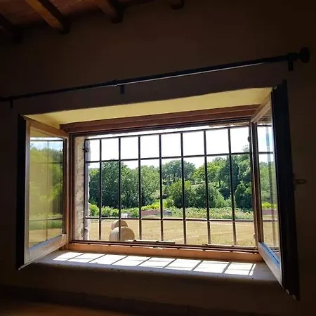 Apartment Il Nido Di Torre Lorenzetta Massa Martana